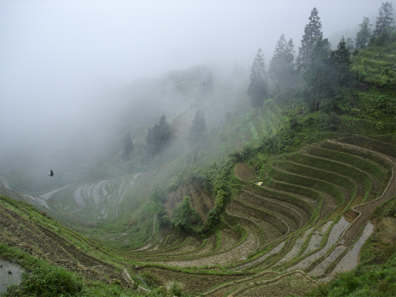 China's Geheimnis