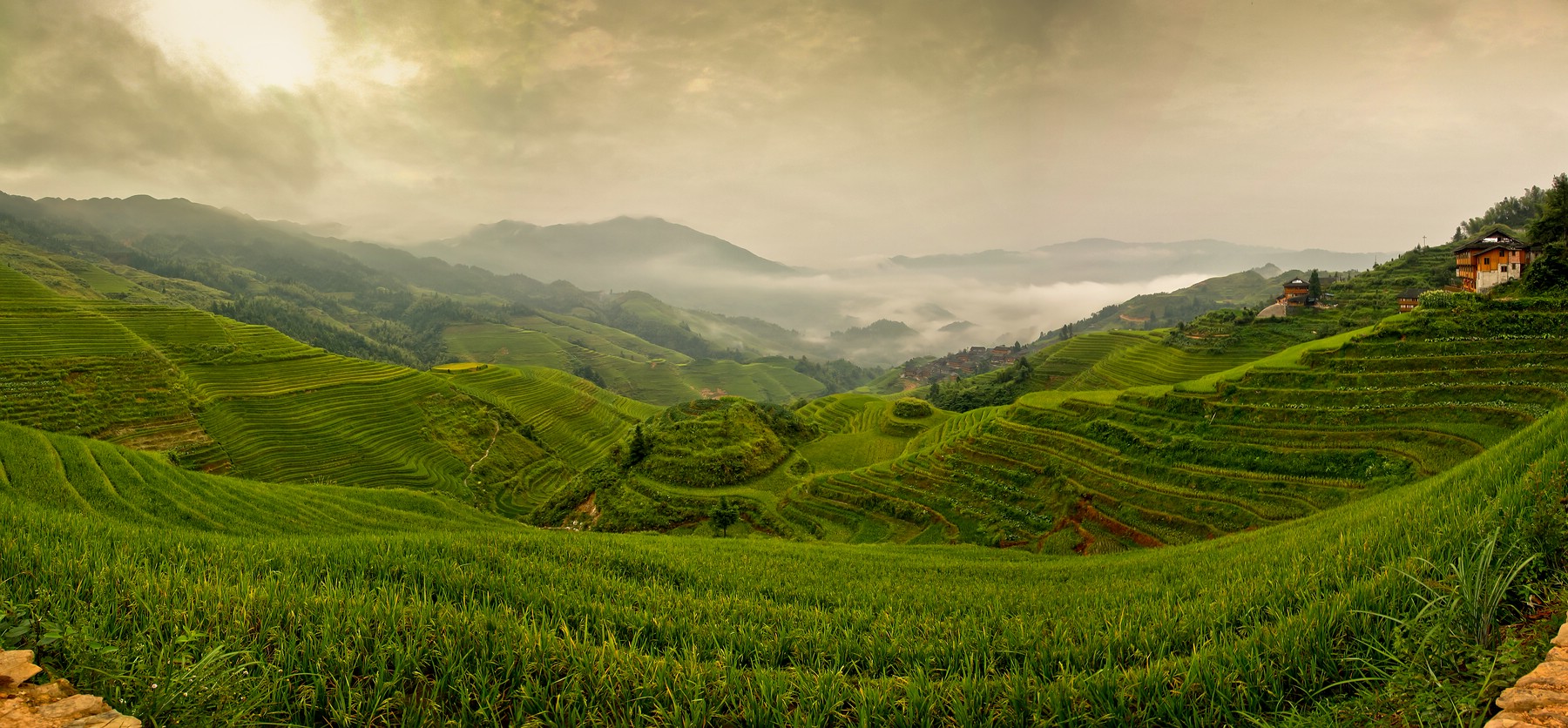 China's Reisterrassen am frühen Morgen