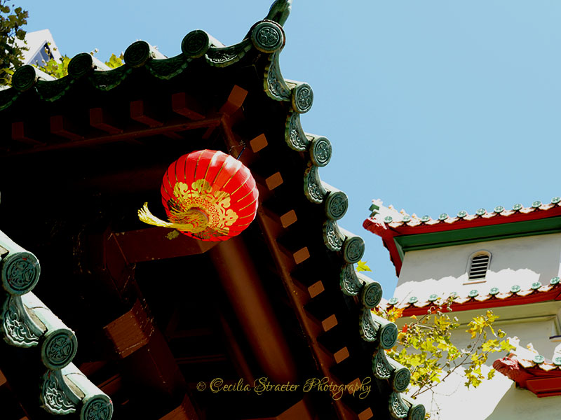 Chinatown houses in SF