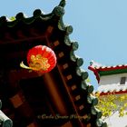 Chinatown houses in SF