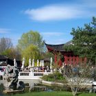 Chinease Garden - a part of Berlin