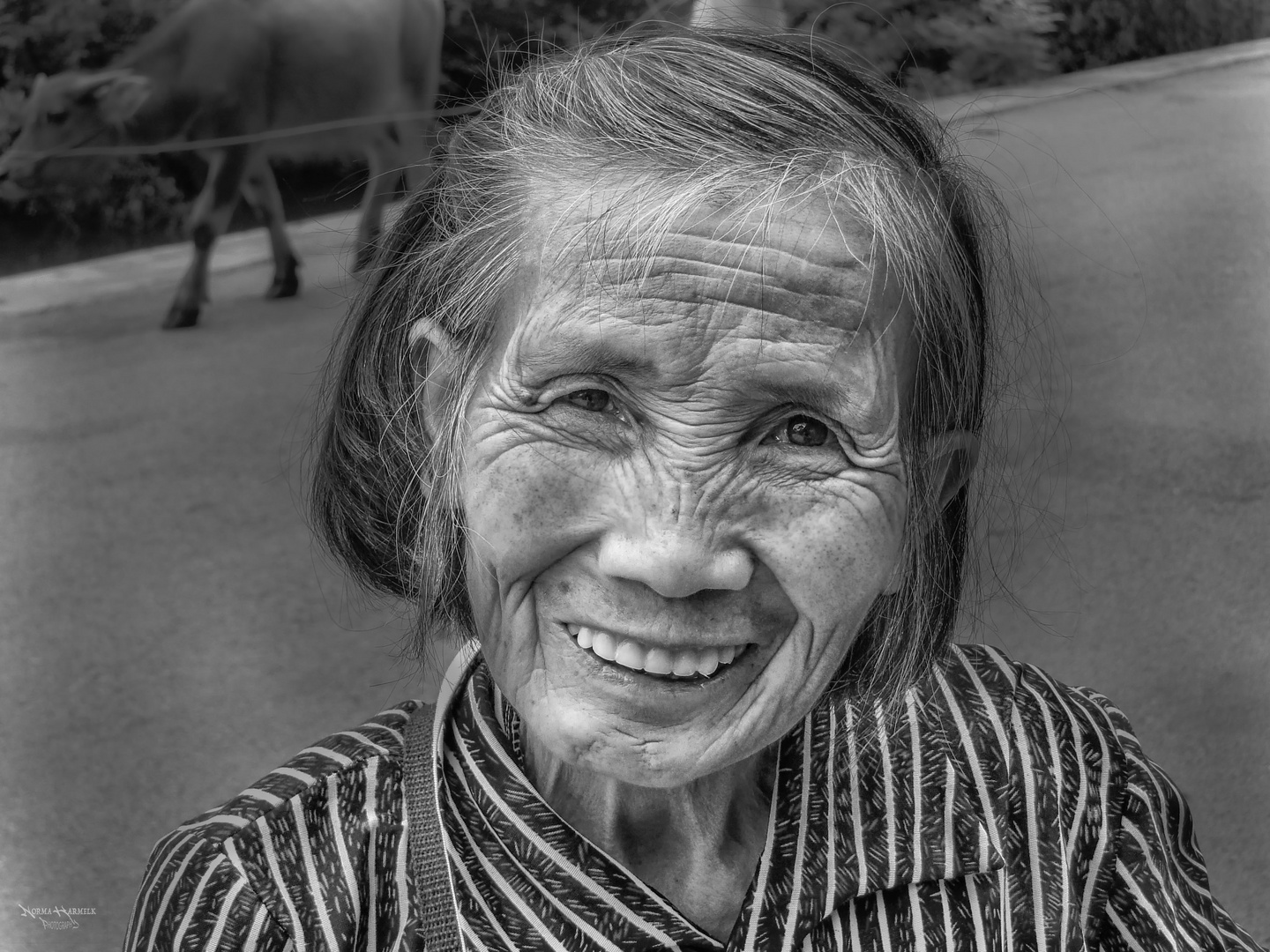 Chines farmer woman