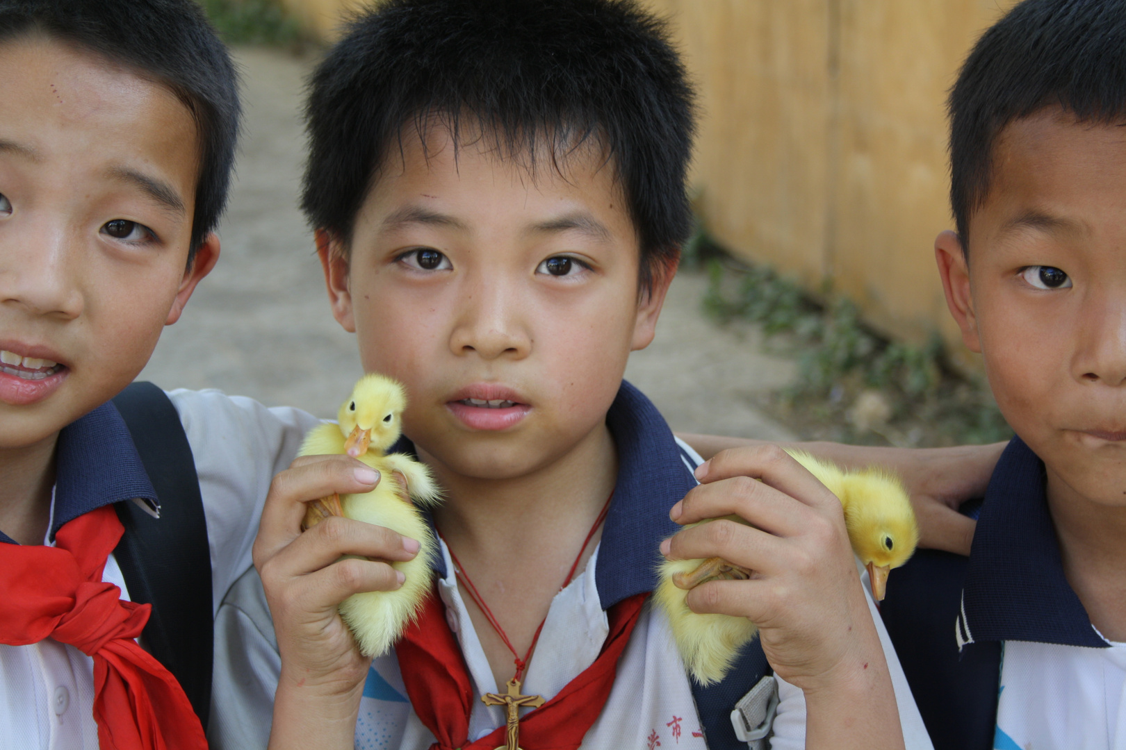 Chinese boys + ducks