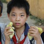 Chinese boys + ducks