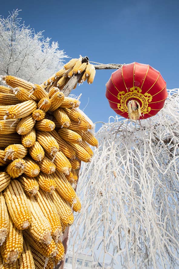 Chinese Christmas tree