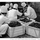 "chinese cooks select prawns behind the restaurant"