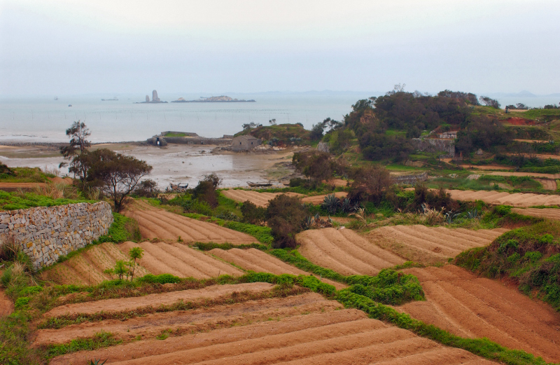 Chinese Fields