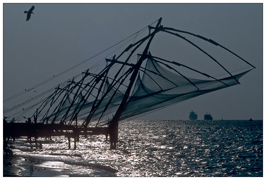 Chinese Fishing Nets