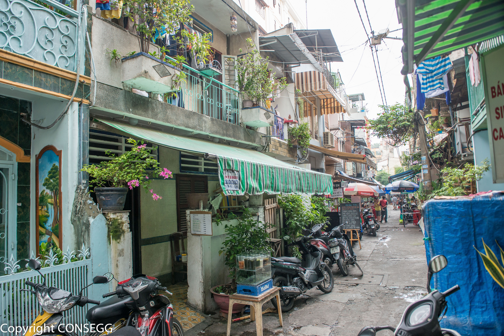 Chinese Food Quater Saigon