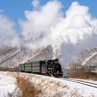 Chinese forest railways