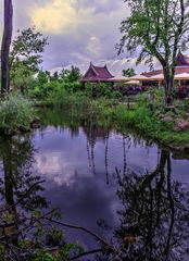 Chinese Garden