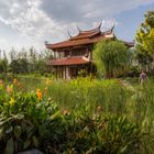 Chinese Garden