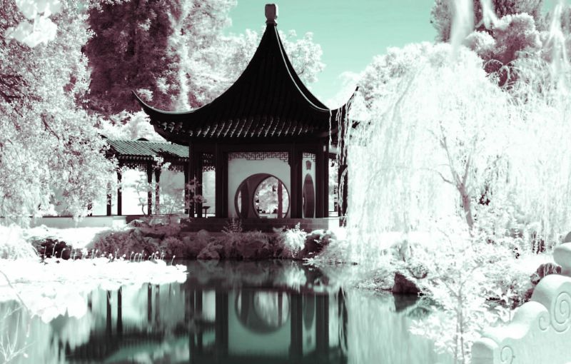 Chinese Garden