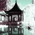 Chinese Garden