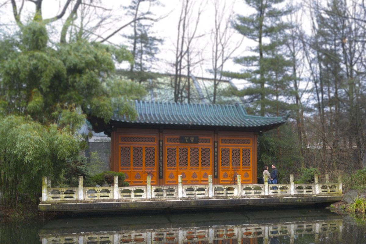 Chinese Garden