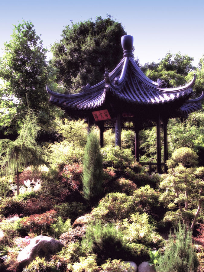 chinese garden