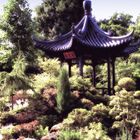 chinese garden