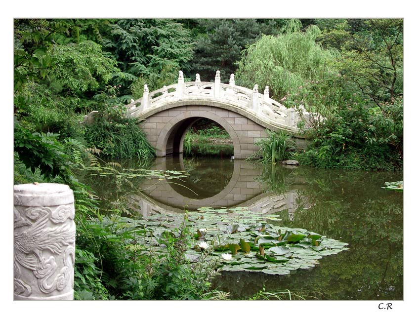 Chinese Garden II