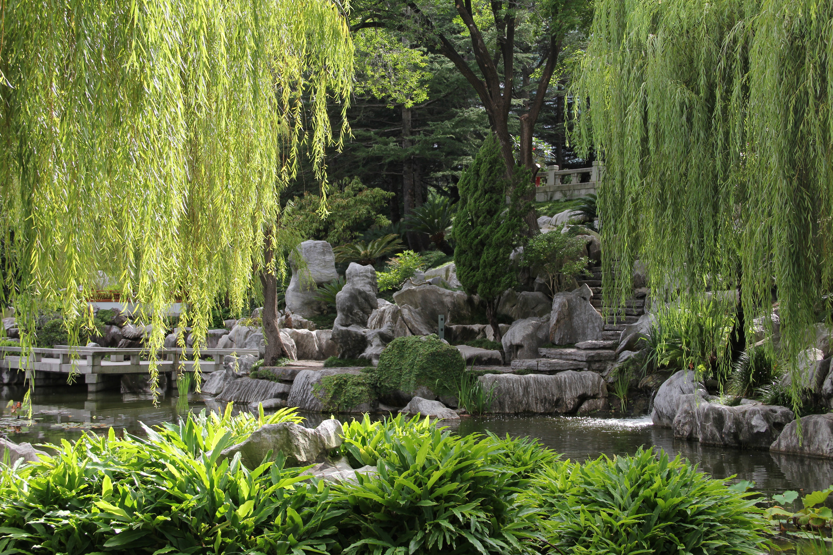 Chinese Garden Sydney II