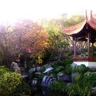 Chinese Gardens