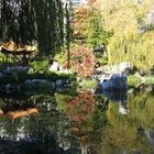 Chinese Gardens