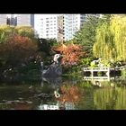 Chinese Gardens