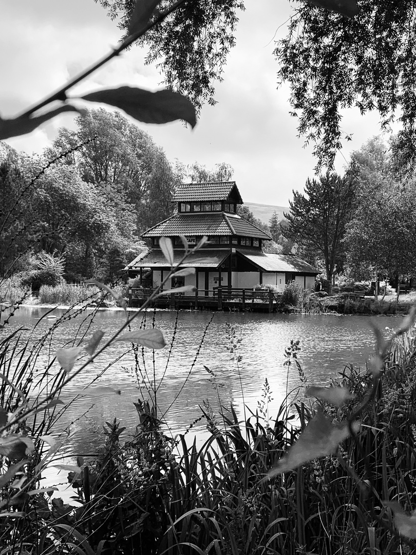 Chinese Pavillion Festival Park