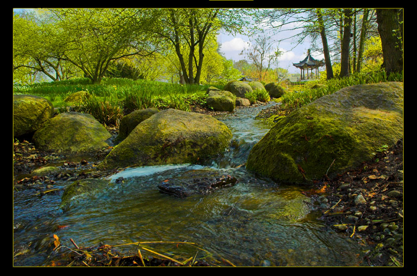 Chinese Spring