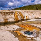 Chinese Spring, Yellowstone NP, Wyoming, USA