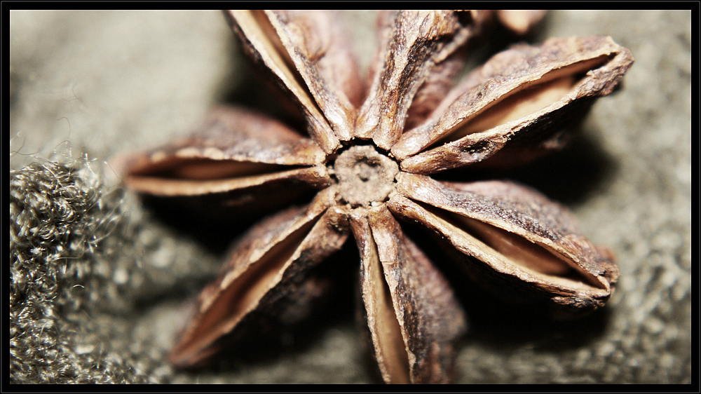 ~chinese star anise~