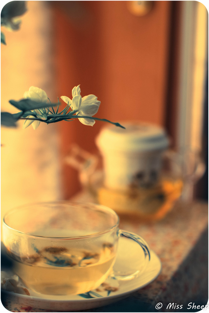 Chinese tea with jasmine