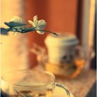 Chinese tea with jasmine