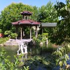 Chinesiche Gartenlandschaft 