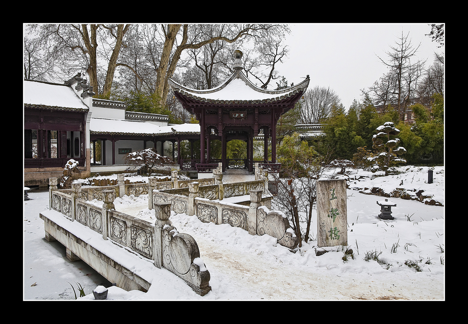 ~ Chinesicher-Garten in Frankfurt ~