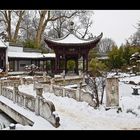 ~ Chinesicher-Garten in Frankfurt ~