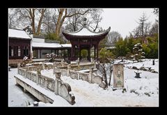 ~ Chinesicher-Garten in Frankfurt ~