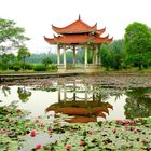 Chinesische Gartengestaltung im Universitätscampus Hefei