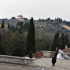 Chinesische Hochzeit in Florenz              DSC_4460