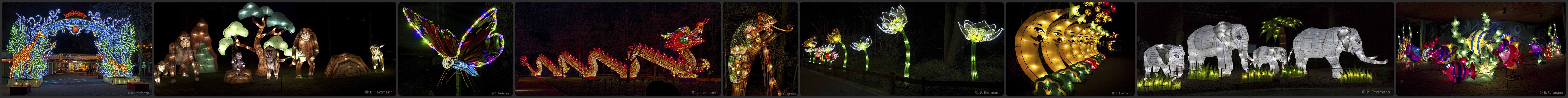 "Chinesische Lichter" 2017 - Allwetterzoo Münster