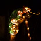 Chinesische Lichter (Camelion)