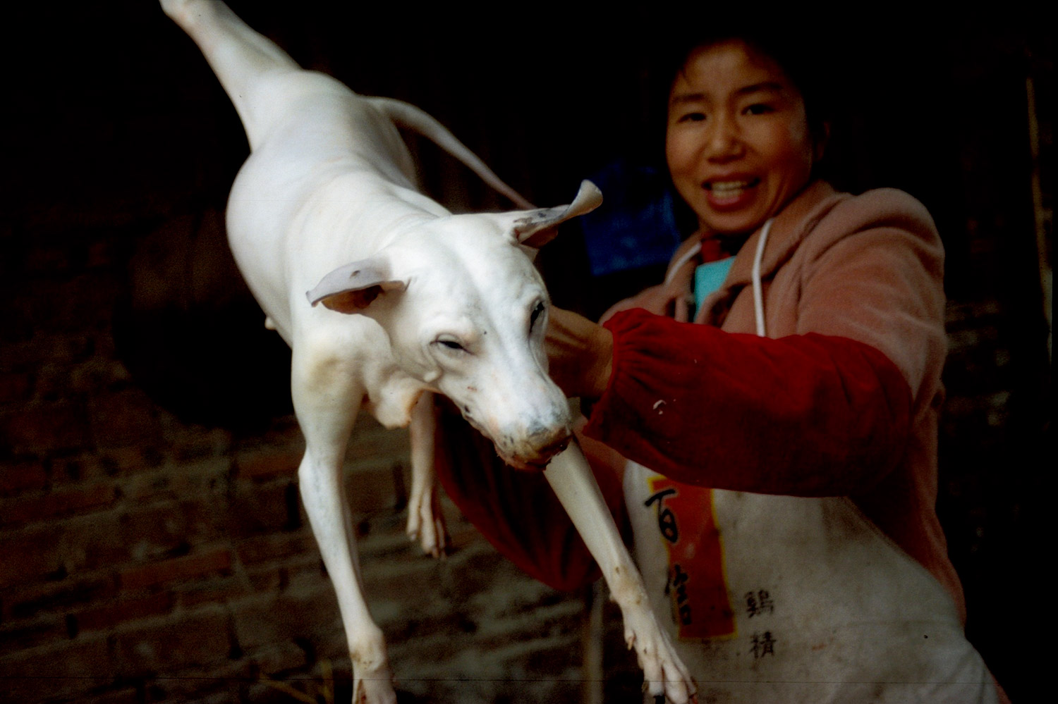 Chinesische Metzgerin mit frisch geschlachtetem Hund