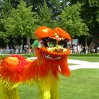 Chinesischer Drache