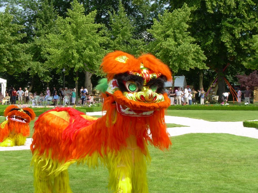 Chinesischer Drache