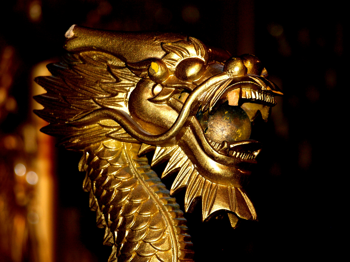 *** Chinesischer Drache***