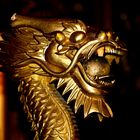 *** Chinesischer Drache***