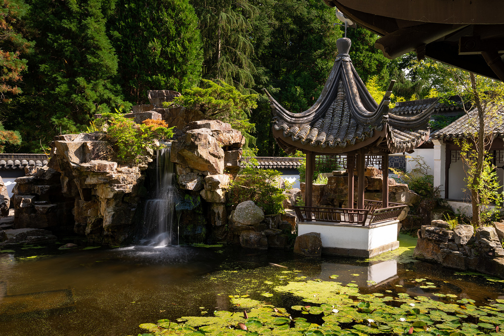 Chinesischer Garten