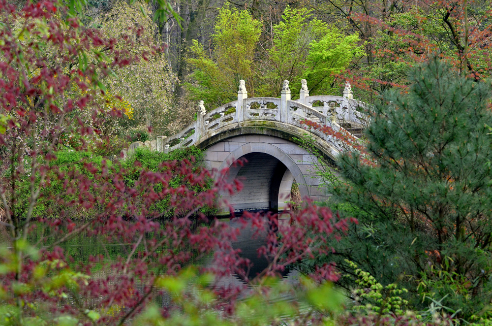 Chinesischer Garten