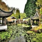 Chinesischer Garten 