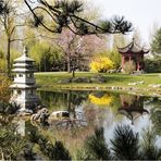 Chinesischer Garten