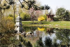 Chinesischer Garten